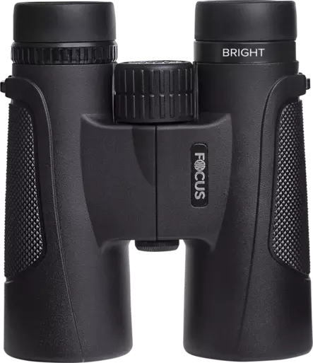 Focus Bright 8x42 - Kiikarit - 7391879053284 - 1